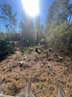 All Photos for Hawkins Tree Service & Land Management in Richmond Hill, GA