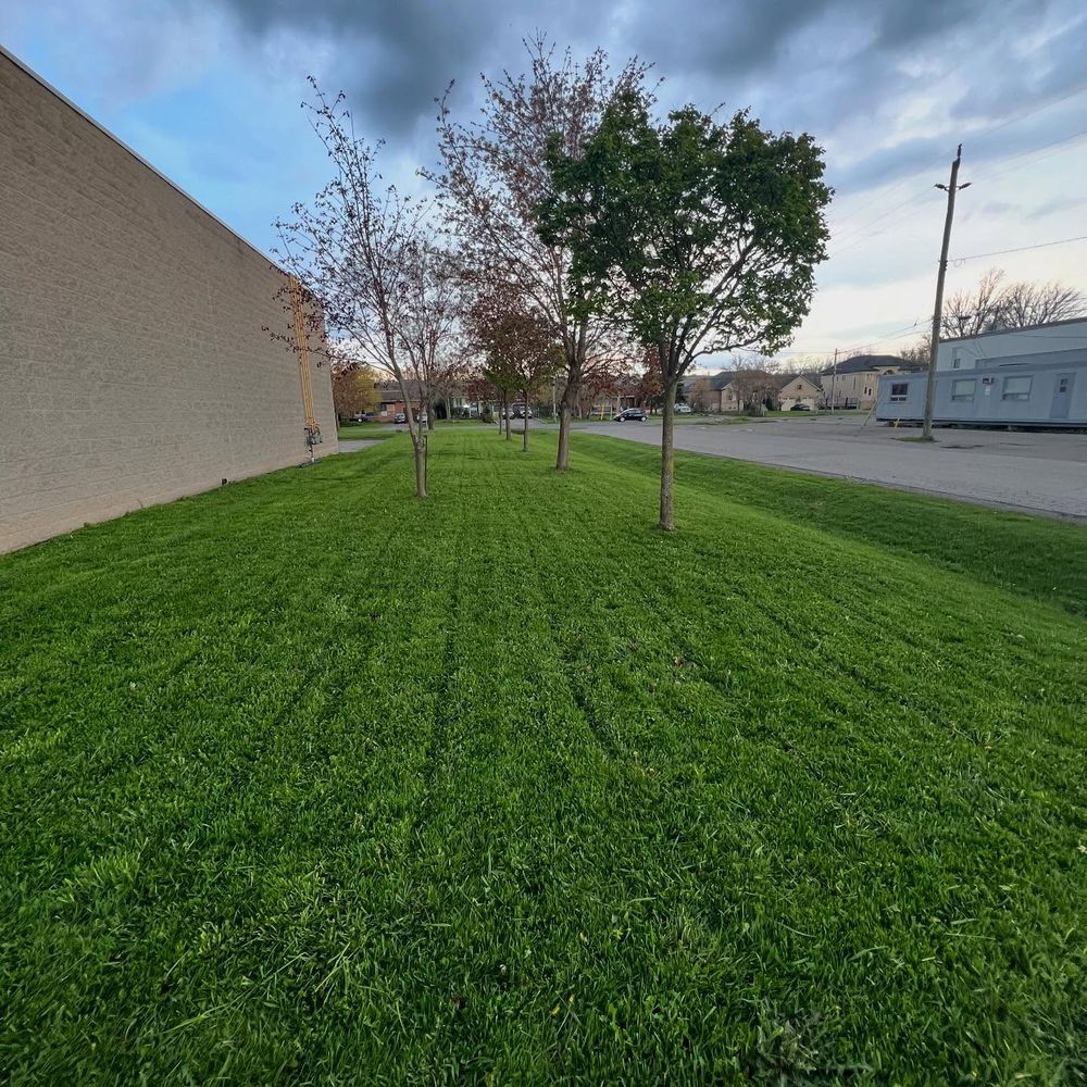 Our Lawn Care service ensures a lush, healthy lawn through expert mowing, fertilization, and weed control. Enjoy a vibrant outdoor space tailored to your needs by our dedicated team of professionals. for CMN Exterior Maintenance in Hamilton, ON