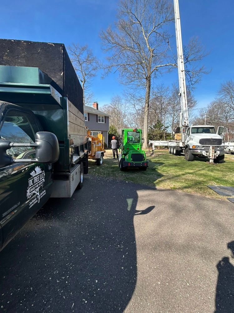 DC TREE team in Vernon, CT - people or person