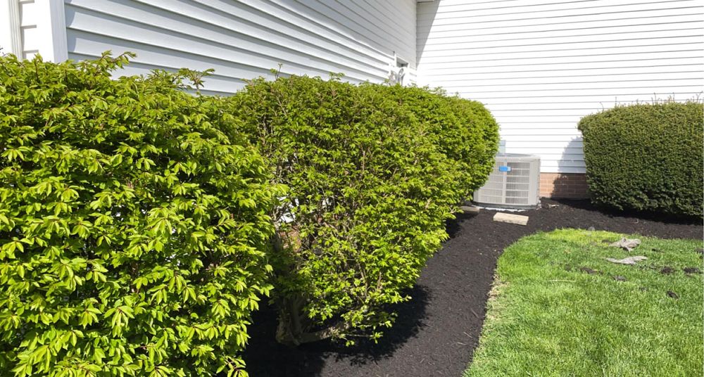 All Photos for Jenkins Landscaping & Property Management LLC in Clinton, OH