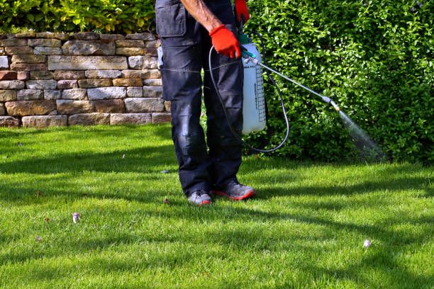 Our Sanitization Services ensure a clean and safe yard for your family by eliminating harmful bacteria and odors left behind from pet waste, creating a healthier outdoor environment. for Poop Pals NH in Gilford, NH