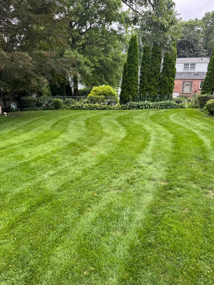 All Photos for Adams Landscaping in Springfield, MA