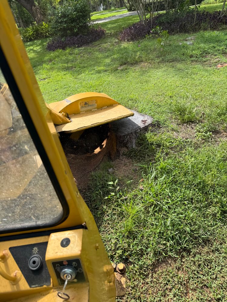 All Photos for Grizzly Stump Grinding in Sarasota, FL
