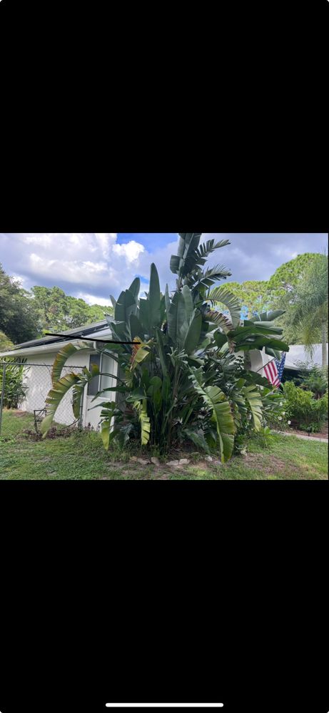 All Photos for Isaiah Simmons Construction and Landscaping LLC in Brevard County, Florida