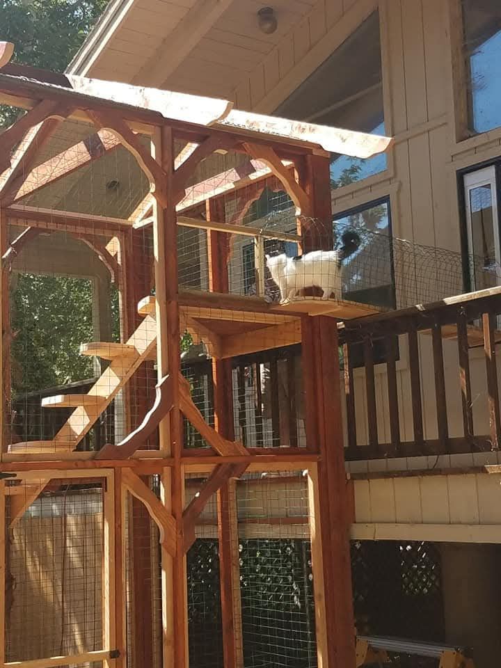 All Photos for Top Notch Construction in Munds Park, AZ