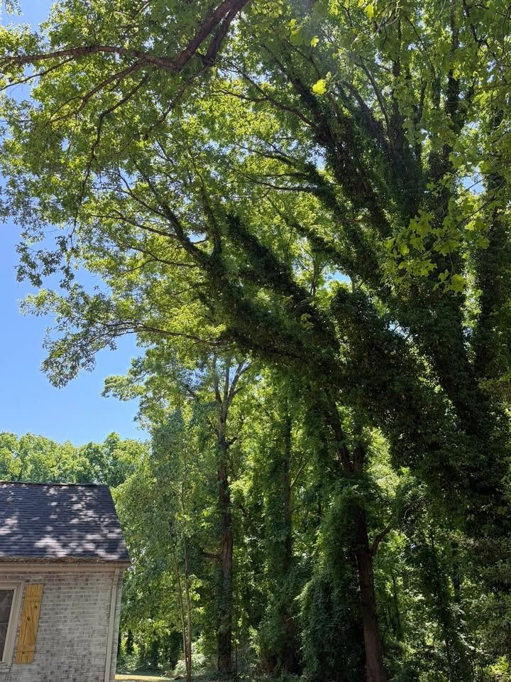 All Photos for Hunt’s Hauling & Landworks LLC in Danville, VA