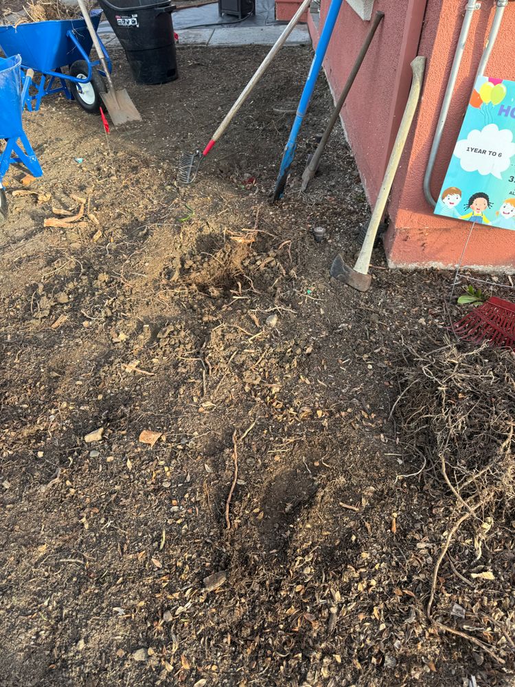 All Photos for CBA Landscaping in Hayward, CA