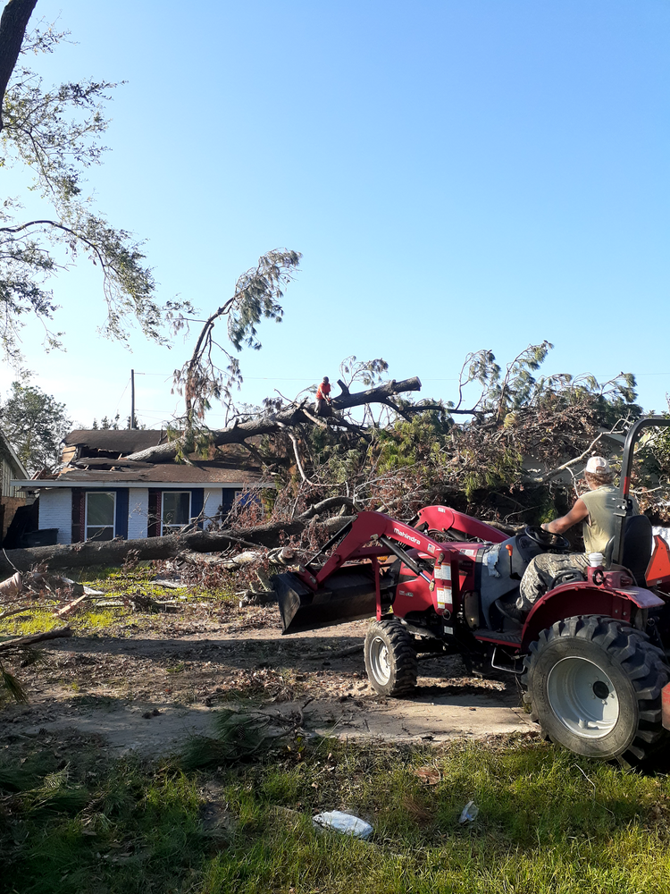 All Photos for Professional Tree Service USA in Chattanooga, TN