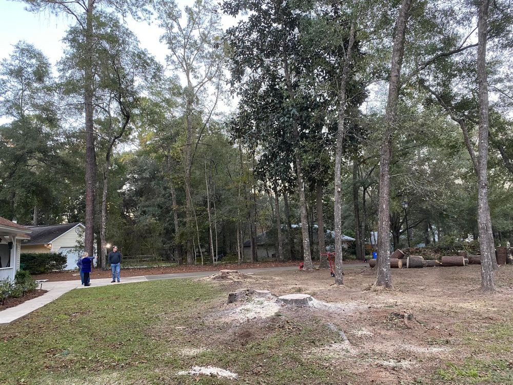 All Photos for Tates Tree Service in Tallahassee, FL