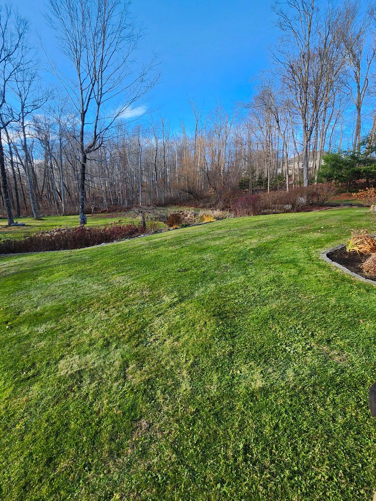Spring & Fall Cleanups for Landscape Innovations LLC in Torrington, CT