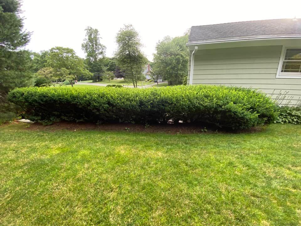 All Photos for Ace Landscaping in Trumbull, CT