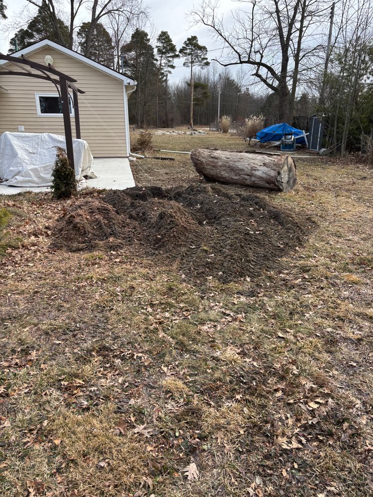 All Photos for Dean's Stump Removal in Youngstown, OH