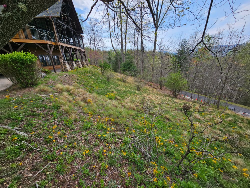 All Photos for Acosta's Stone work in Hendersonville, NC