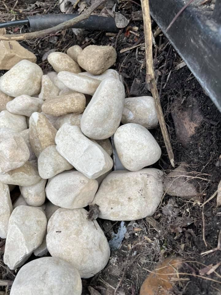 All Photos for Nxt Gen Pool Service in Sealy, TX