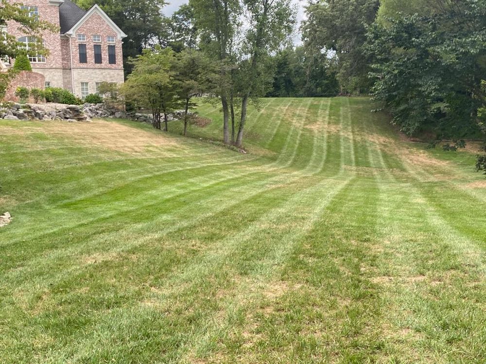 Landscaping for Transforming Landscaping & Tree Service in Bowling Green, KY