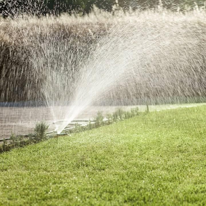 All Photos for Terra Heights Tree Experts & Landscaping  in Grass Valley,  CA