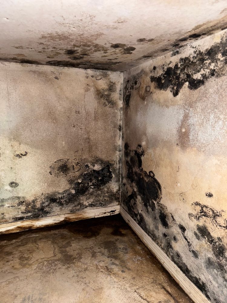 All Photos for N&D Restoration Services When Disaster Attacks, We Come In in Cape Coral,  FL