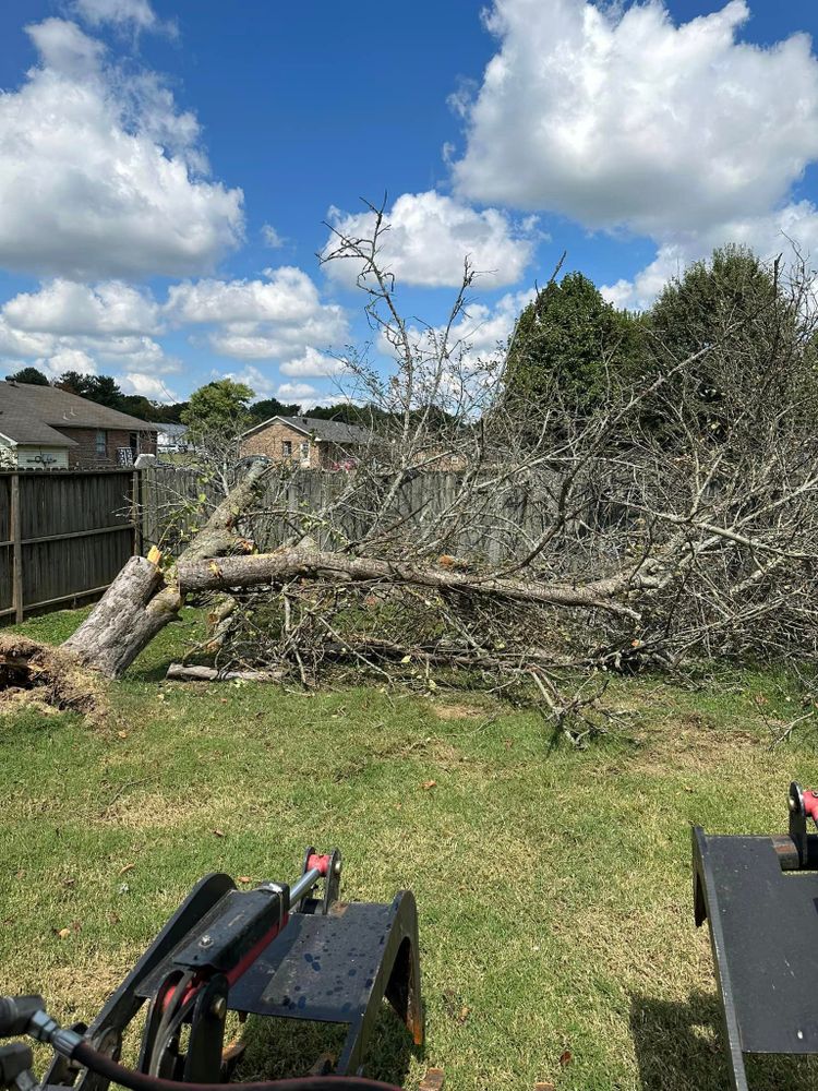 Our tree trimming and removal service offers expert care to maintain the health and appearance of your trees while efficiently removing any unwanted or hazardous trees from your property. for Ground Worx in Lebanon, TN