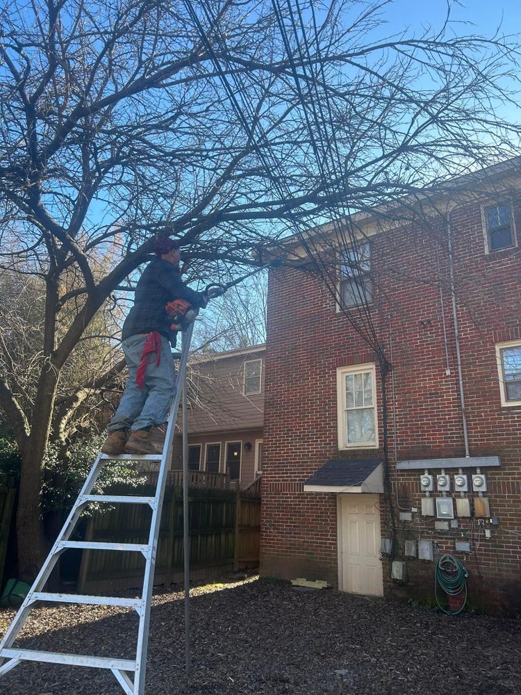 All Photos for Oakhurst Landscaping and Tree Service in Charlotte, NC