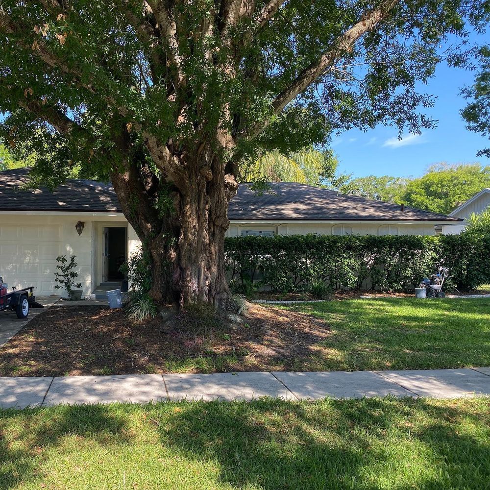 All Photos for TLM Landscape Professionals in Clermont, FL