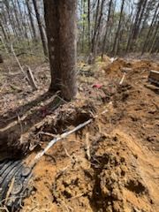 All Photos for TD Dirtworks in Tracy City, TN