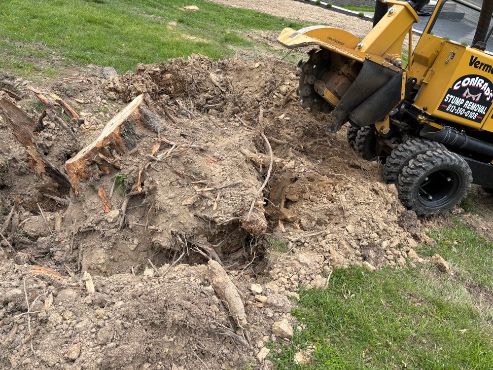 All Photos for Conrad's Stump Removal in Columbus, IN
