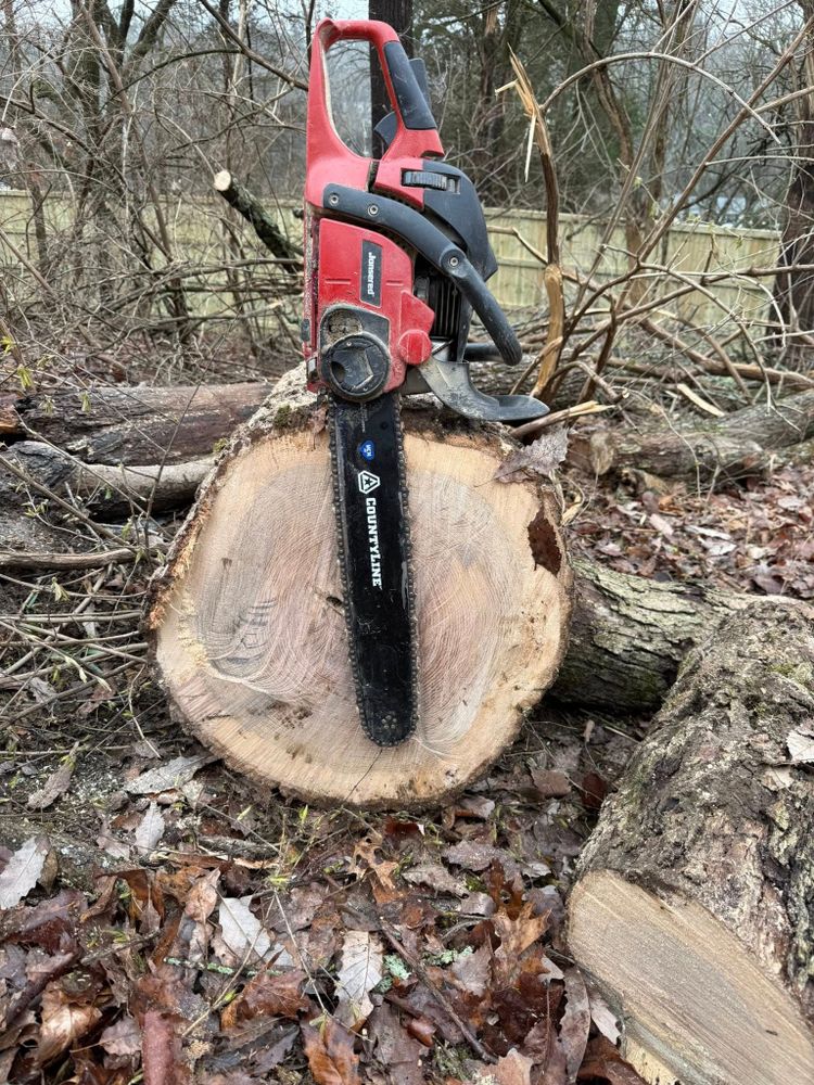 All Photos for Foxlan Landscapes in Fairview, TN