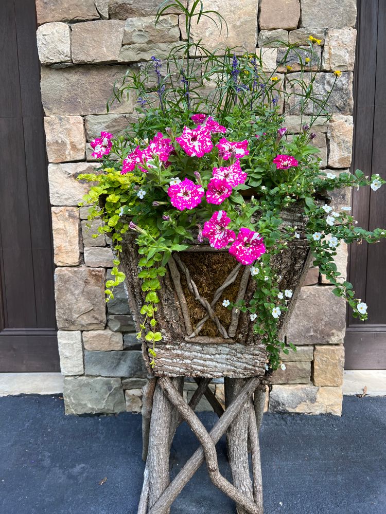 Container Gardening for Sustainable Lawn and Landscape in Banner Elk, NC