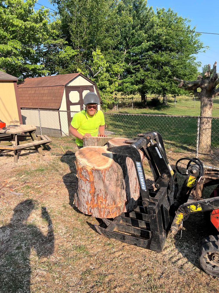 Tree Removal for Settle Tree Services in Knoxville, TN