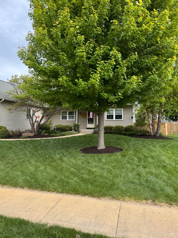 All Photos for H&L Lawn Care LLC in Twin Lakes, WI