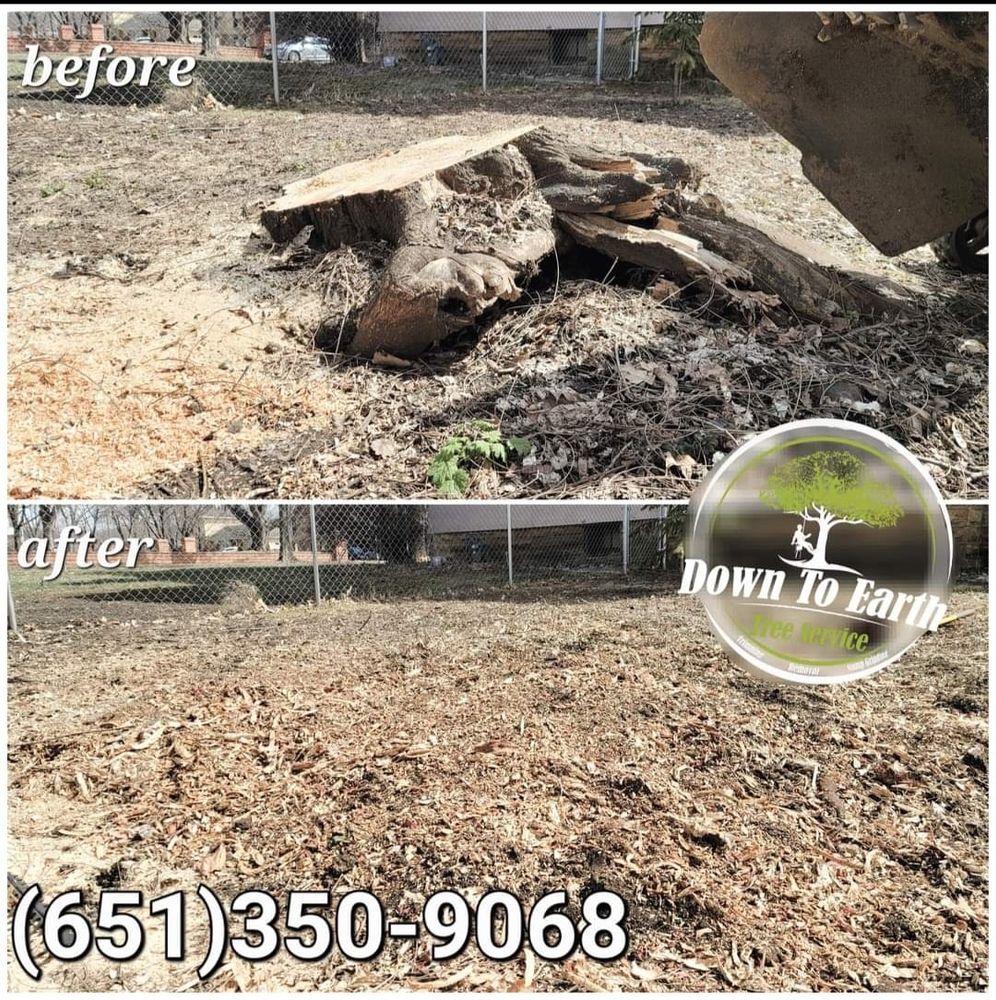 Tree Removal for Down To Earth Tree Service in Red Wing,  Minnesota