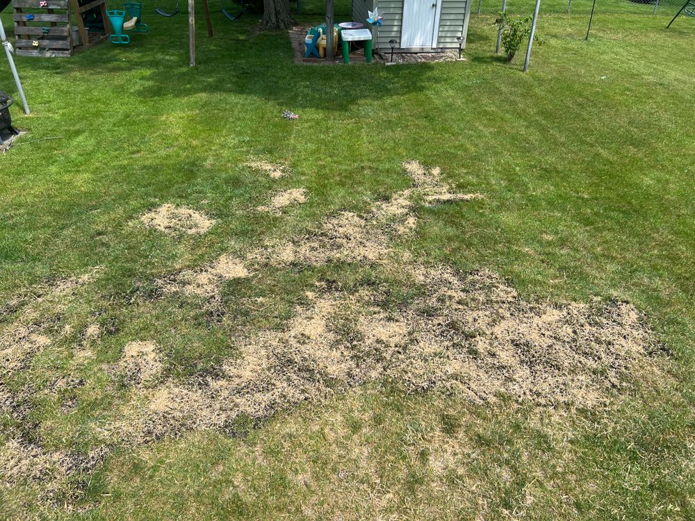 All Photos for Phillips Lawn Services in Ravenna, MI