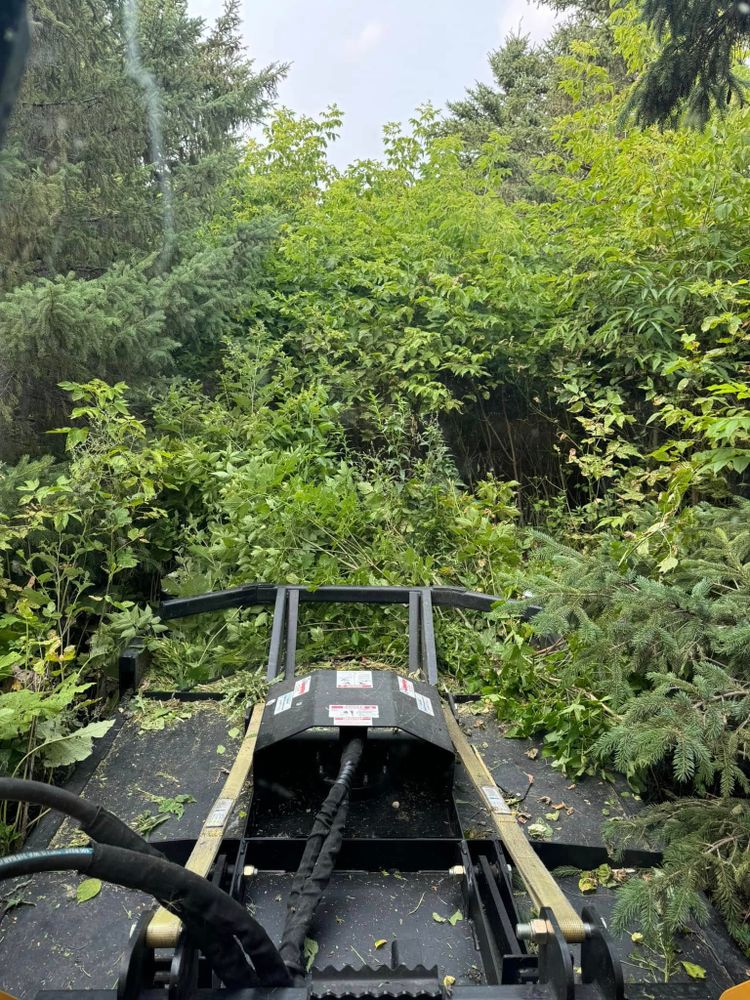 Land Clearing for RTK Co. Land Management in Raymond, MN