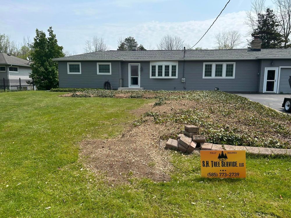 Our Stump Removal service efficiently eliminates tree stumps from your property, ensuring clean and safe surroundings while restoring the aesthetic appeal of your outdoor space. for S.H. Tree Service LLC in Hilton, NY