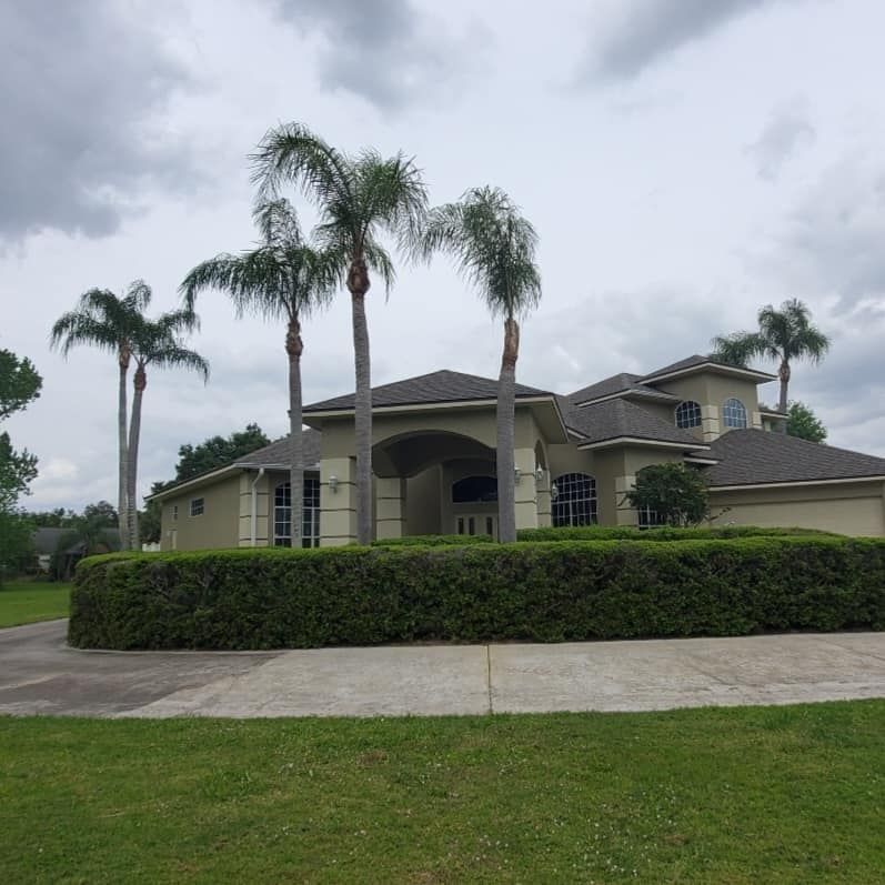 Enhance your home's curb appeal with our professional shrub trimming service, ensuring perfectly shaped and healthy shrubs that complement your landscape all year round. Trust us for precision and care. for Regal Tree Service and Stump Grinding in Wauchula, FL