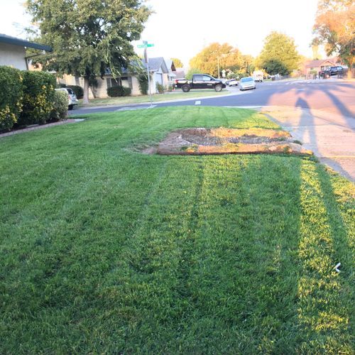 All Photos for AG Landscaping in Lodi, CA