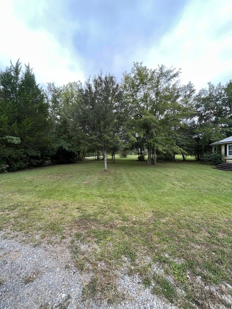 Lawn Care for Landscaping Pros in Hurley, MS