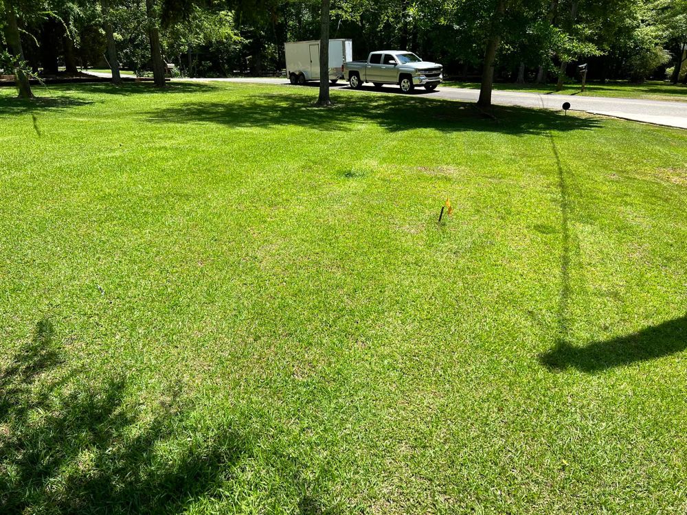 Fall and Spring Clean Up for Battle Lawn Maintenance in Eatonton, GA