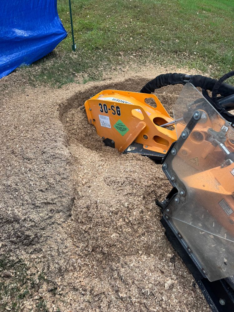 Stump Removal for Jills Stump Grinding and Firewood in Shelton, CT