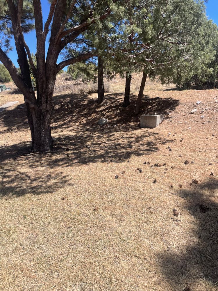 All Photos for G&B Yard Service in Ruidoso Downs, NM