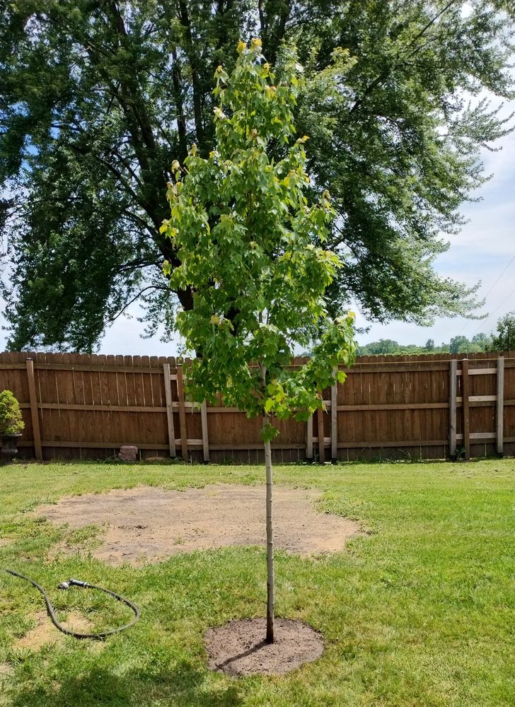 All Photos for Humphries Hardscape - Pavers and Landscaping in Wyandotte, MI