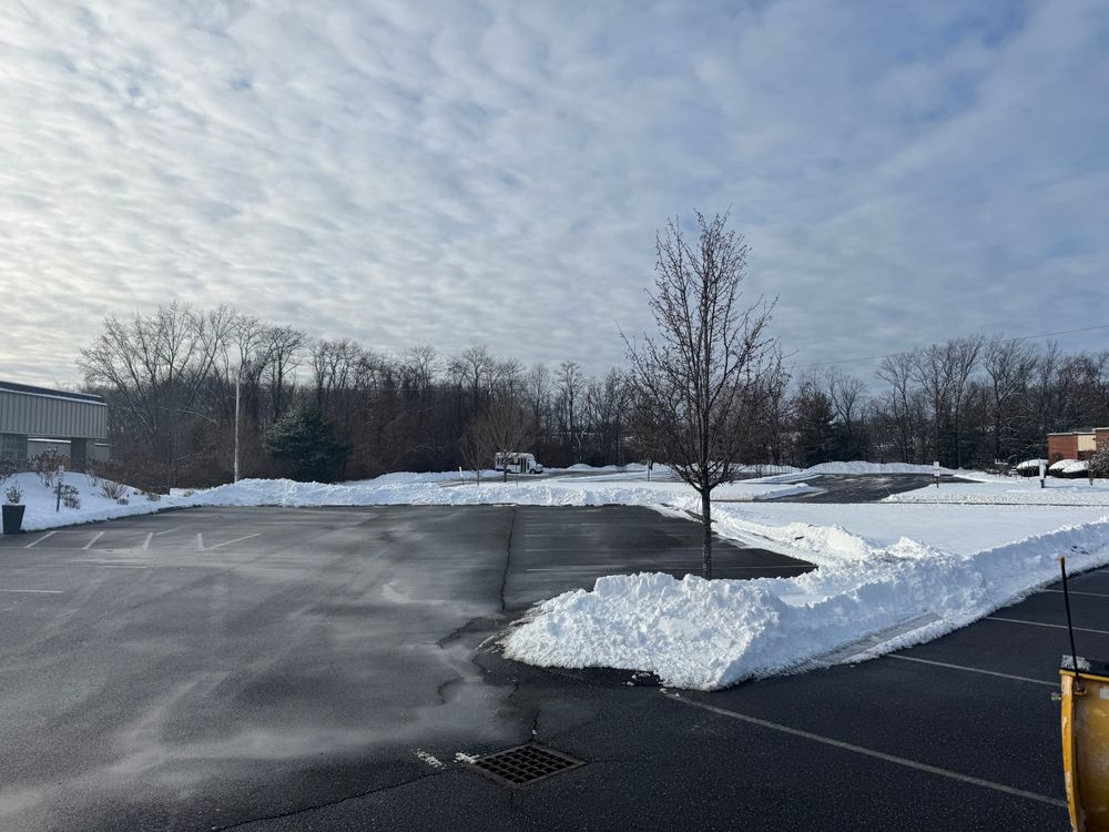 All Photos for Adams Landscaping in Springfield, MA