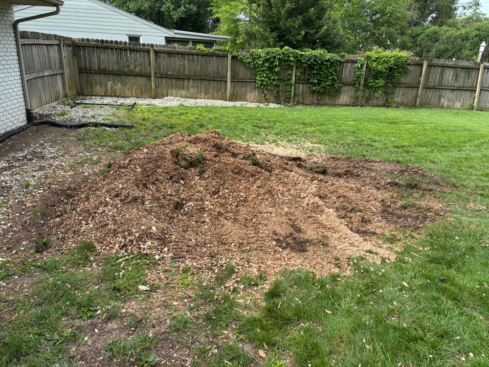 All Photos for Conrad's Stump Removal in Columbus, IN