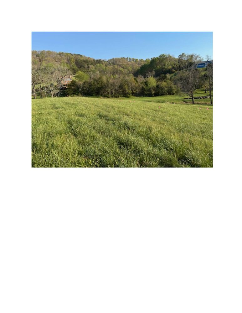 All Photos for ProModern Construction, LLC in Seymour, TN