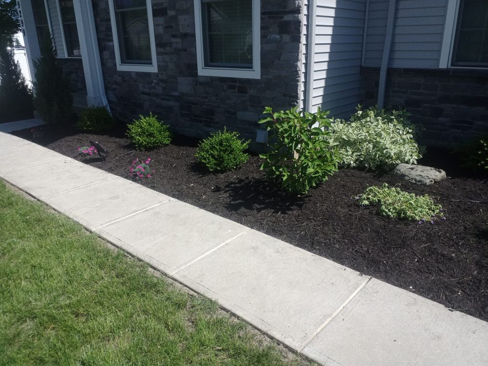 Revitalize your landscape with our expert shrub trimming service. Our team will shape and prune your shrubs to enhance their health and appearance, transforming your outdoor space into a beautiful oasis. for Hendricks Mowing in Amherst, OH