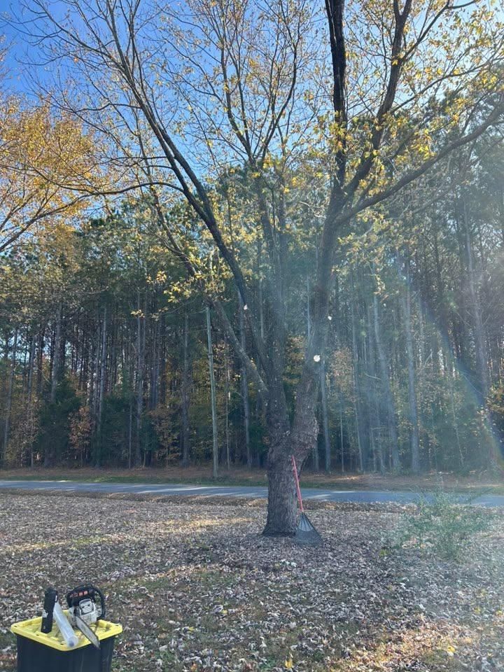 All Photos for The Whole 9 Yards Landscape VA in Heathsville, VA