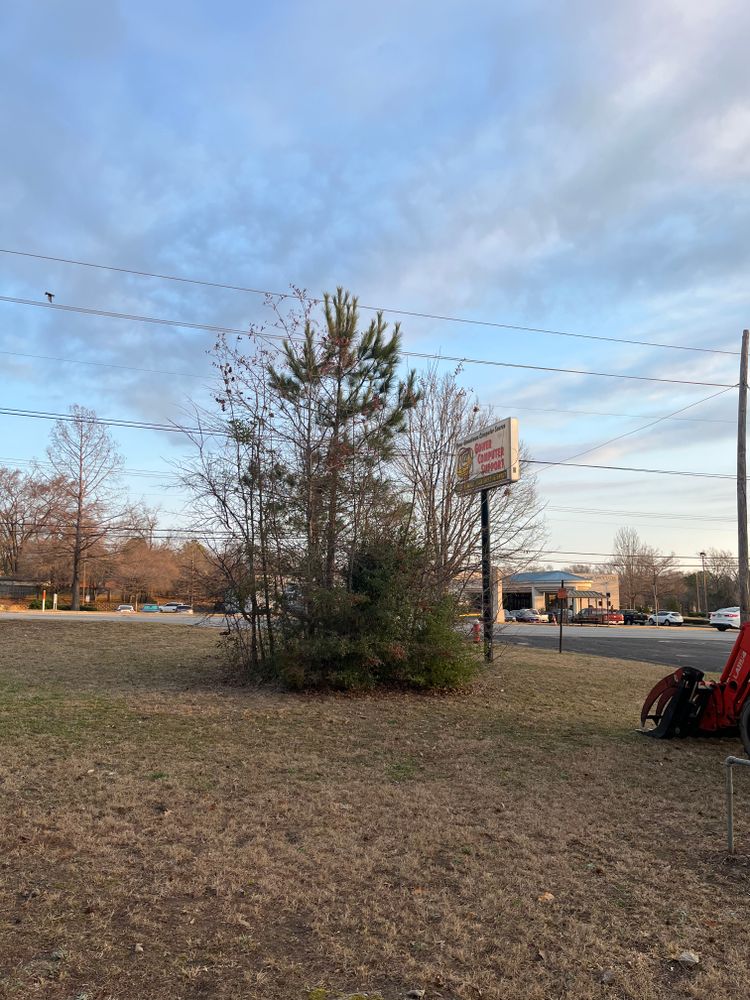 All Photos for JC Land and Tree Service in Kilgore, TX