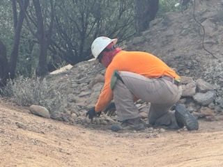 Property Clean Up for The Tree Fairy in Temecula, CA