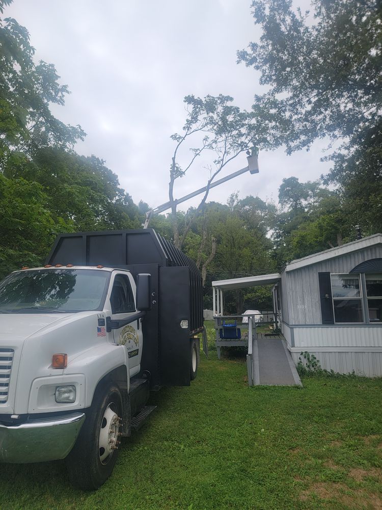 All Photos for Lightning Tree Service in Corydon, IN