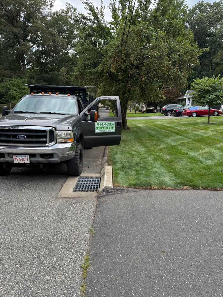 All Photos for Adams Landscaping in Springfield, MA